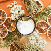 Chandelle | forêt boréale