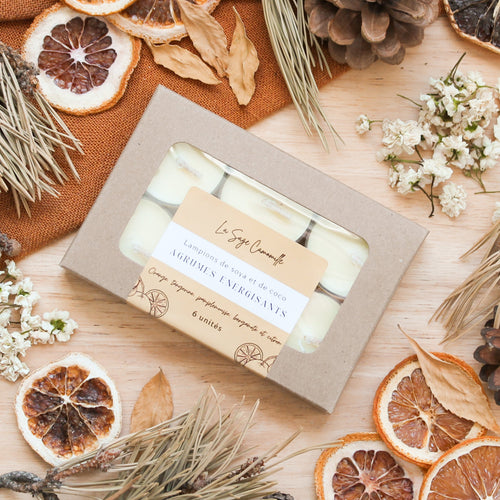 Lampions agrumes énergisants, parfum naturel d'huiles essentielles, boîte de 6 unités