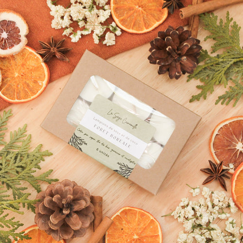 Boîte de 6 lampions forêt boréale, parfums naturels d'huiles essentielles, décorés de feuilles et fleurs