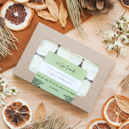 Boîte de 6 lampions forêt boréale, parfums naturels d'huiles essentielles, décorés de feuilles et fleurs