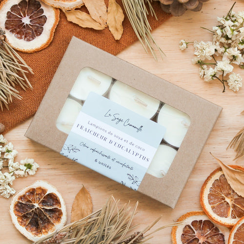Lampions fraîcheur d'eucalyptus, parfum naturel d'huiles essentielles, boîte de 6 unités