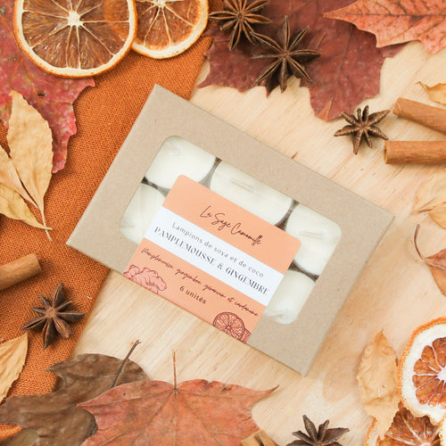 Lampions pamplemousse et gingembre, parfum naturel d'huiles essentielles, boîte de 6 unités
