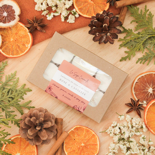 Ensemble de 6 lampions rose et cannelle, faits de cire de soya et de coco et d'huiles essentielles, décorés de fleurs et feuilles, dans une boîte